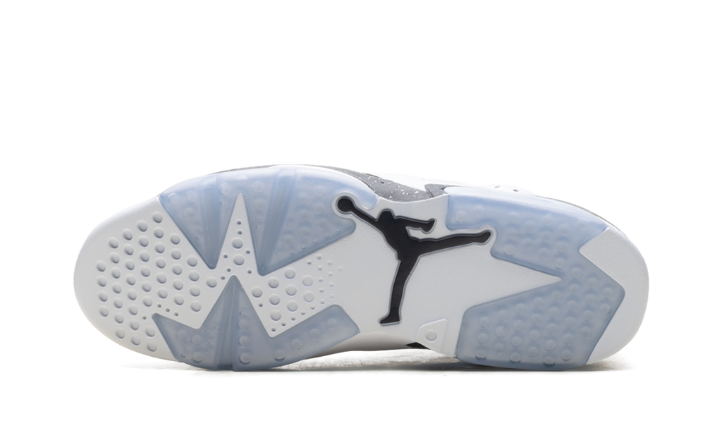 Air Jordan 6 Oreo CT8529 108